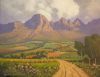 "Helderberg and Vineyards"