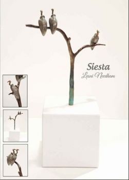 "Siesta Vulture Group"