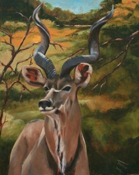 "Kudu 2"