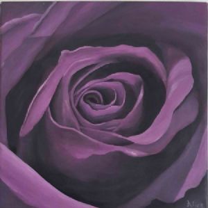 "Rose Purple"