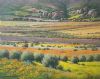 "Namaqua Scene with Reed-vlei"