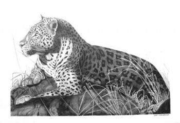 "Leopard"