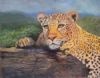 "Lazy Leopard"