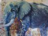 "Elephant and Mopanie Bush"