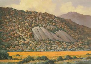 "Ten Million Stones in Namaqualand"