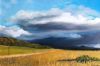 "Overberg Landscape 2"