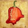 "Red Pepper 1"