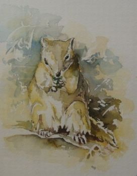 "Squirrel in the Garden"