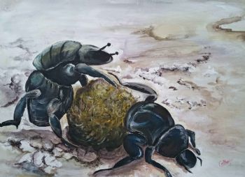"Dung Beetles"