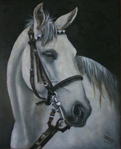 "Horse Portrait"