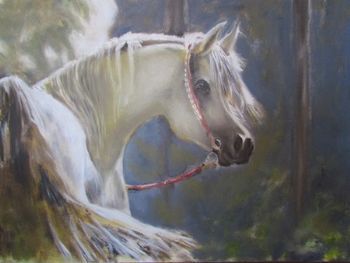 "Horse 1"