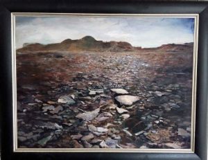 "Sunlight on Mica, Richtersveld"