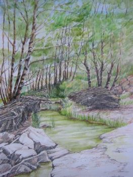 "Below the Dam Wall - Summer"