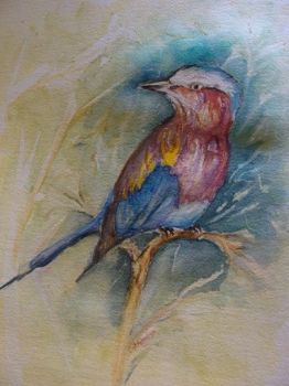 "Lilac-breasted Roller"
