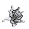 "Seed Pod 6"
