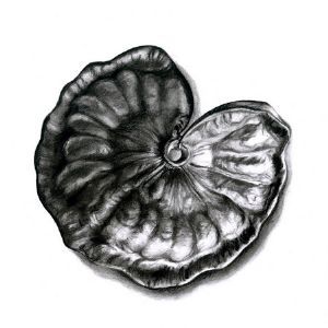 "Seed Pod 9"