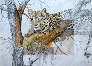 "Big Five - Leopard"