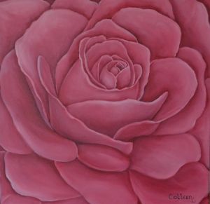 "Pink Rose"