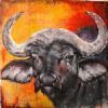 "Baffalo"