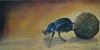 "Dung Beetle"