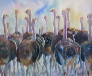 "Young Ostriches"