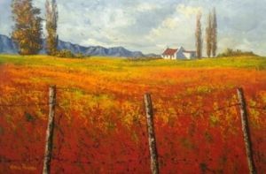 "Rooigrond - Overberg"