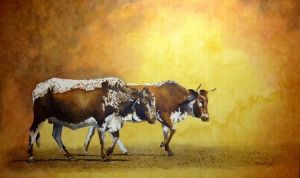 "Africa's Painted Cattle 2"