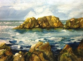 "Wild Coast II"
