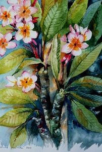 "Frangipani"
