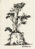 "Our Tree 2"