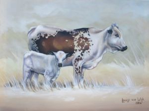 "Nguni Cow and Calf"