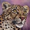 "Leopard Portrait"