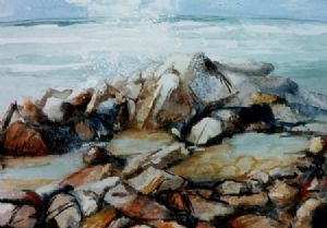 "Wildcoast IV"