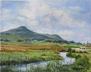 "Miniature-Stream in Wakkerstroom"