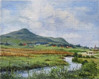 "Miniature-Stream in Wakkerstroom"