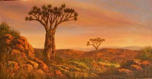 "Quiver Tree  "