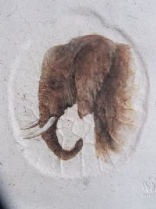 "Life Size Elephant Footprint & Portrait 2"