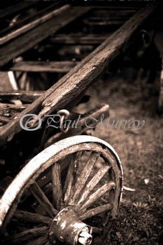 "Oxwagen"