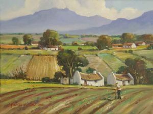 "Rural Scene Eastern Cape"