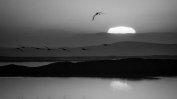 "Desert Sunrise"