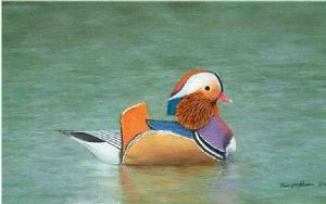 "Peaceful Mandarin"