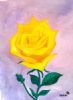 "Yellow Rose"