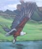 "Fish Eagle with Catfish"