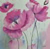 "Pink Poppy Flowers"