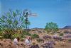 "Nuweveld Loop Windmill"