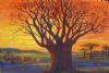 "Baobab Sunset"