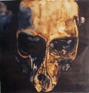 "Juvenile Baboon Skull 13"