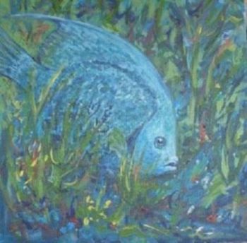 "Grey Angelfish"