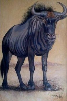 "Wildebeest"