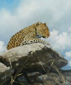 "Leopard's Rock"